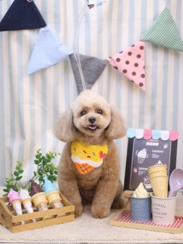 20250507バーディーくん